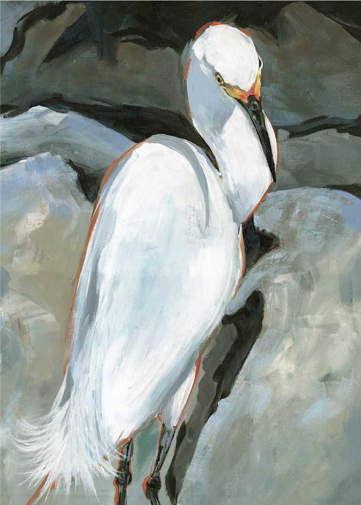Stoney Egret